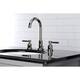 Option Polished Nickel