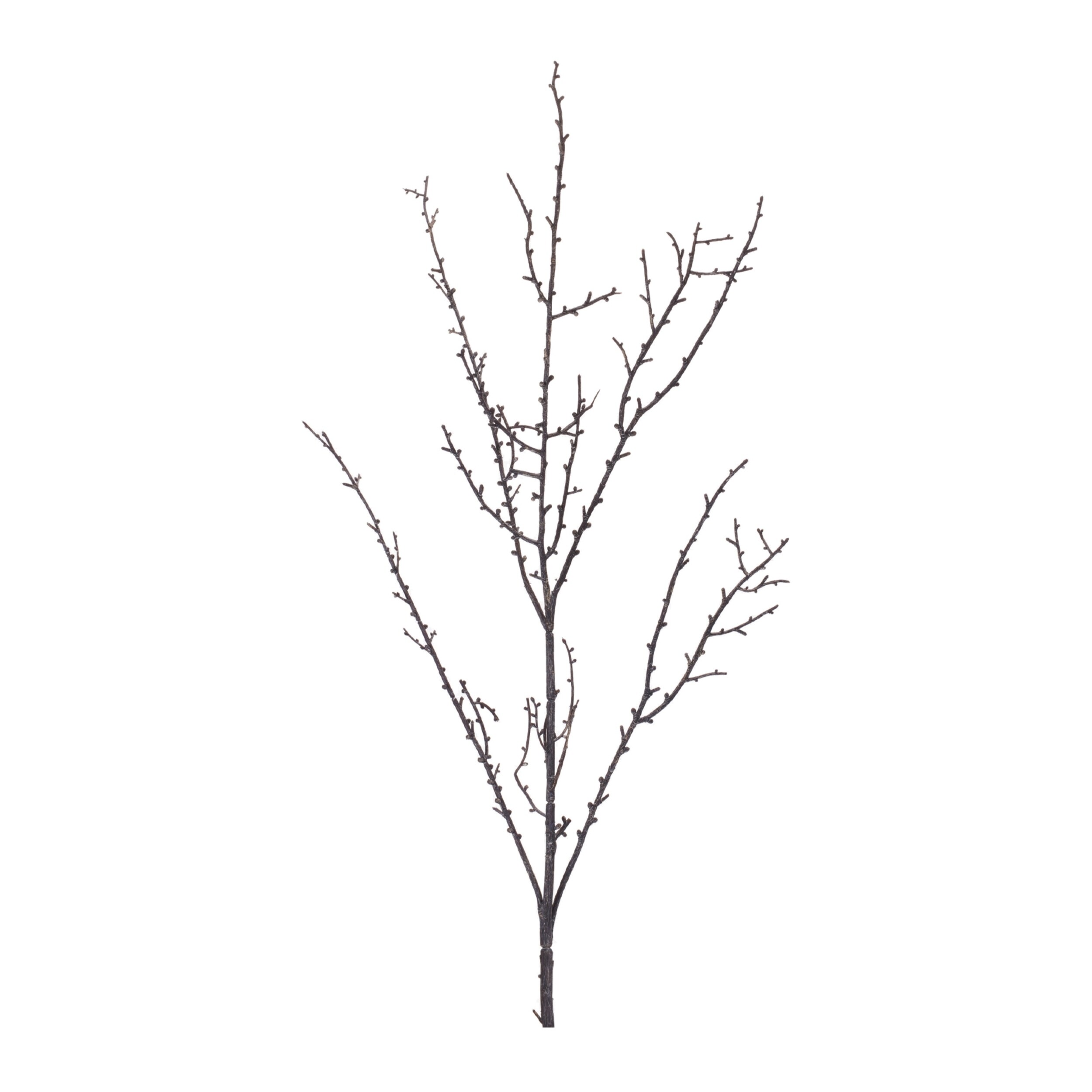 Twigs 中 Birch Twig Branch (Set of 6) - Overstock - 42960956