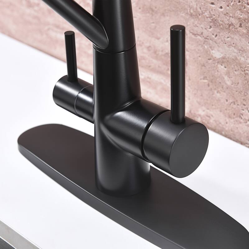Dynamic Dual Handle Pull Out Kitchen Faucet with Soap Dispenser