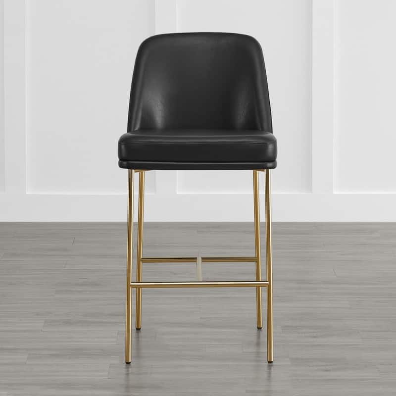 Evelyn Modern 27 inch Counter Height Bar Stool Set of 2