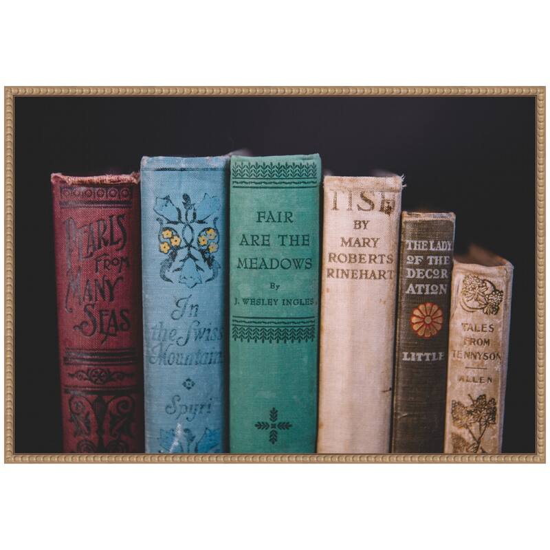 Kate and Laurel Sylvie Vintage Classic Books Framed Canvas by Patricia Hasz of Patricia Rae Photography
