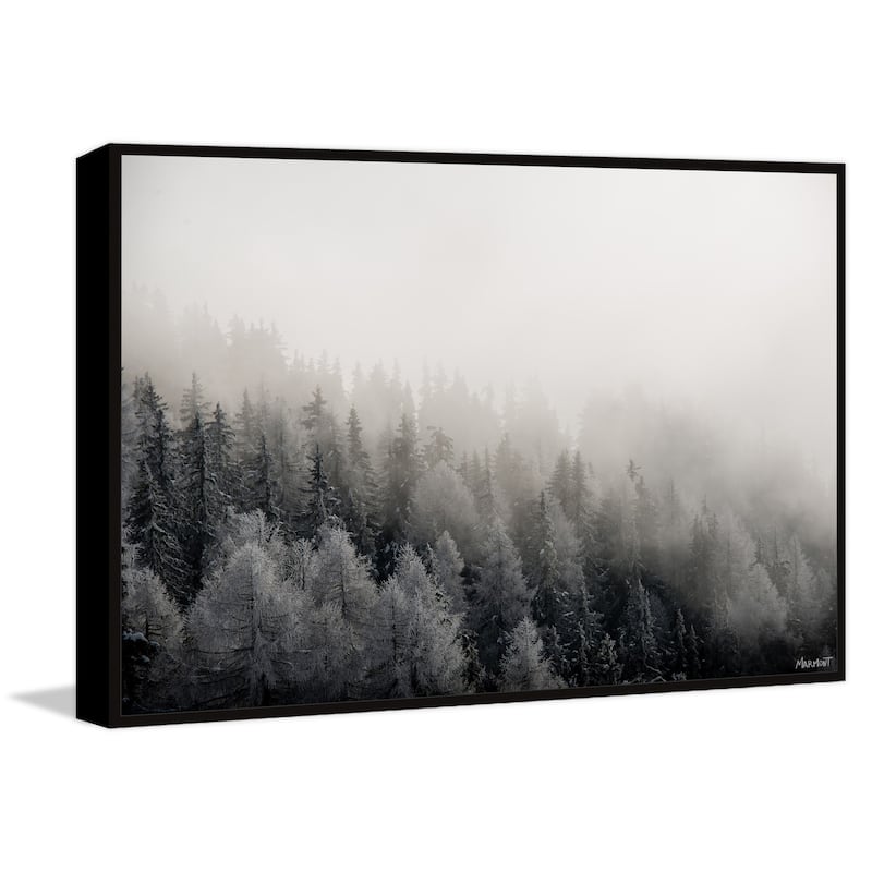 I Belong in the Forest Floater Framed Print on Canvas