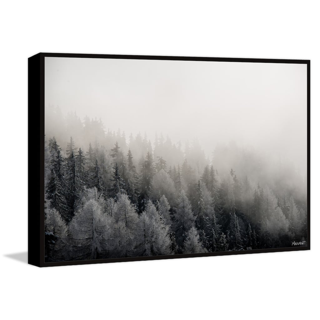 I Belong in the Forest Floater Framed Print on Canvas