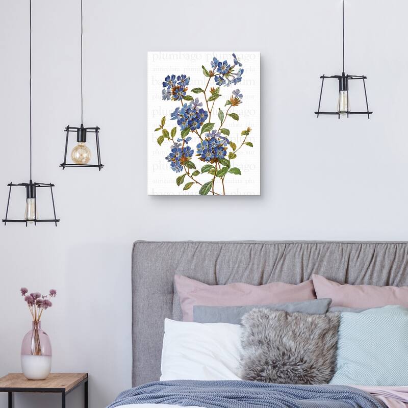 Chinese Plumbago Text by Design Lab Canvas Art Print