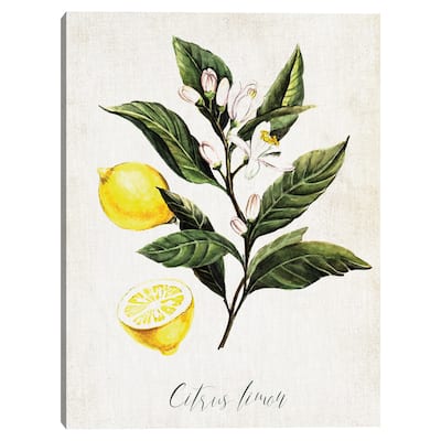 Lemons Canvas Art Print