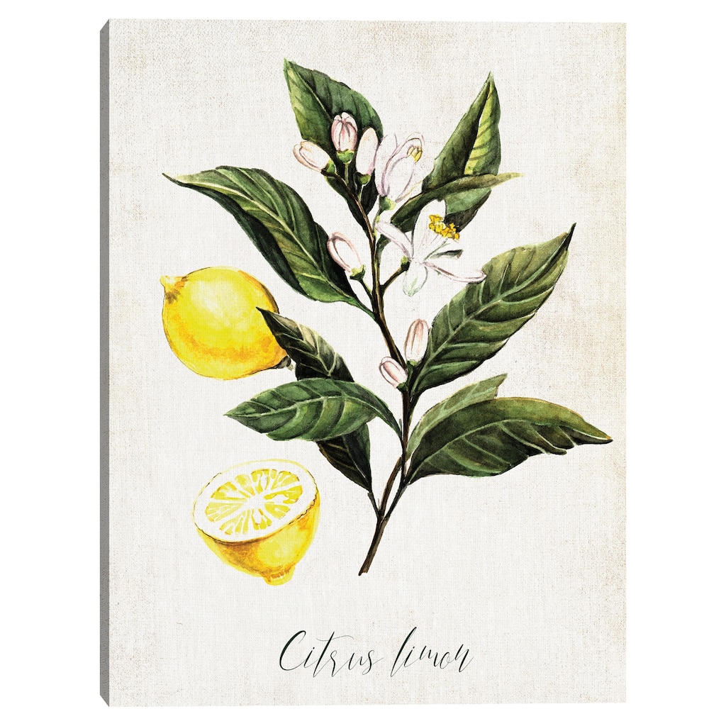 Lemons Canvas Art Print