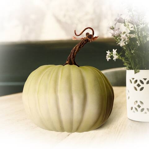 Latex Harvest Vine Pumpkin Set of 2