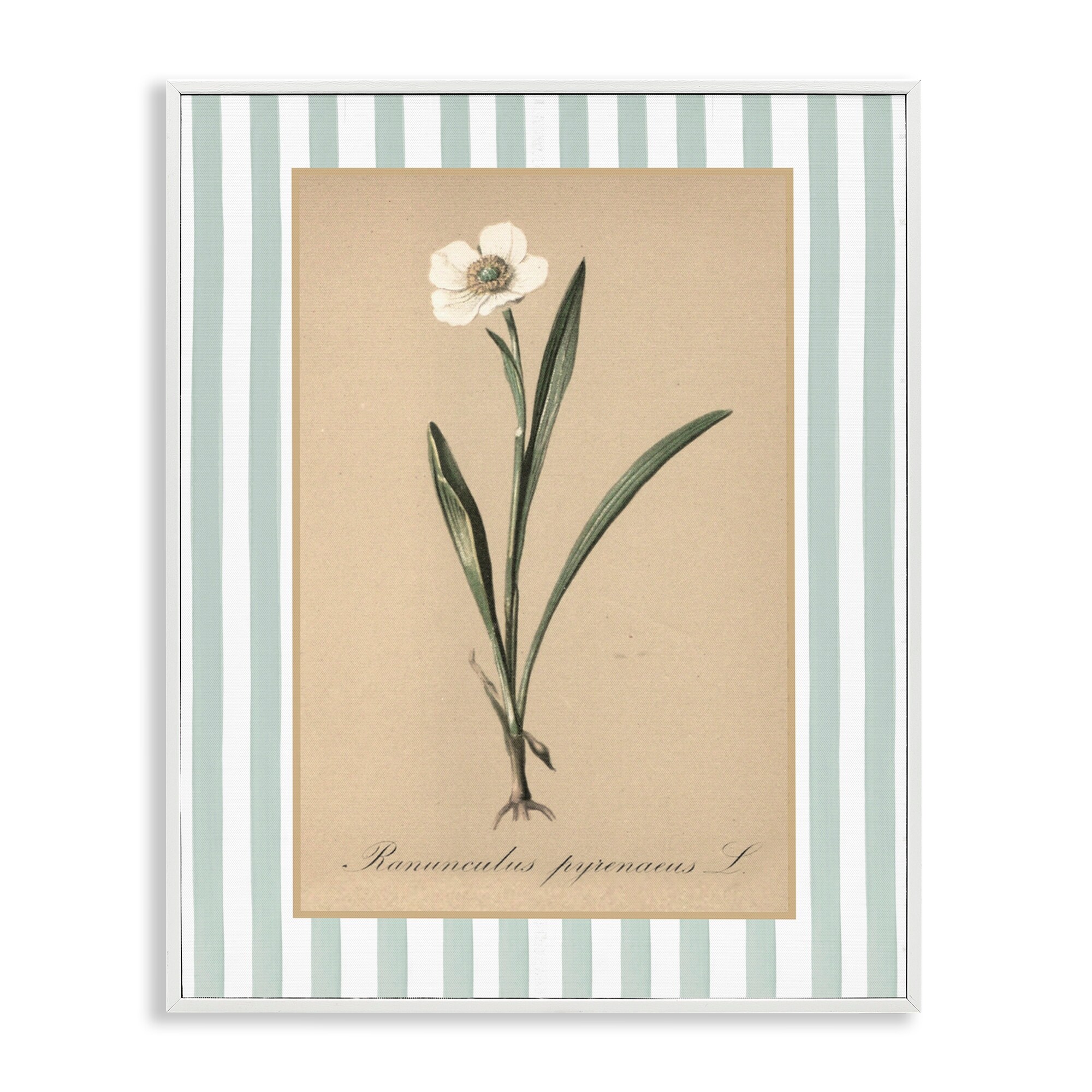 Stupell Wild Poppy with Green Stripes Framed Giclee Art Design By Lettered and Lined