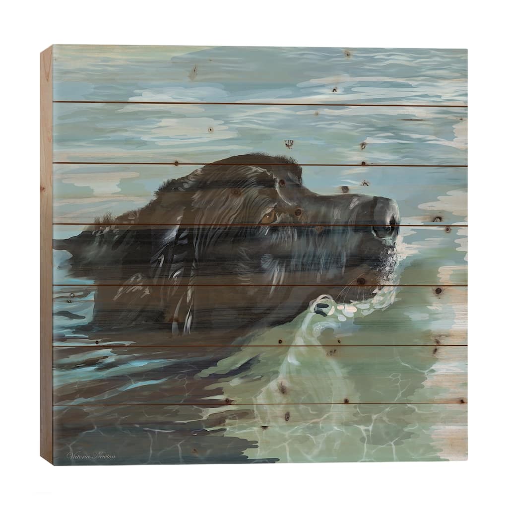 Black Lab Swimming Print On Wood by Vicki Newton - Multi-Color