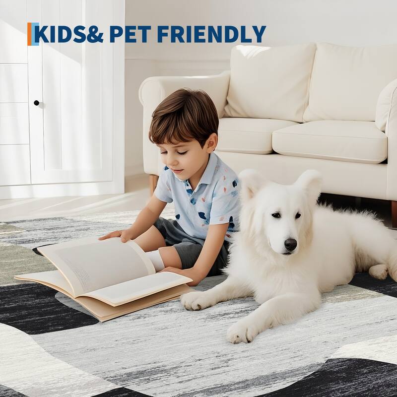 Area Rug Modern Abstract Rugs for Living Room Geometric Non-Slip Backing Low Pile Floor Carpet