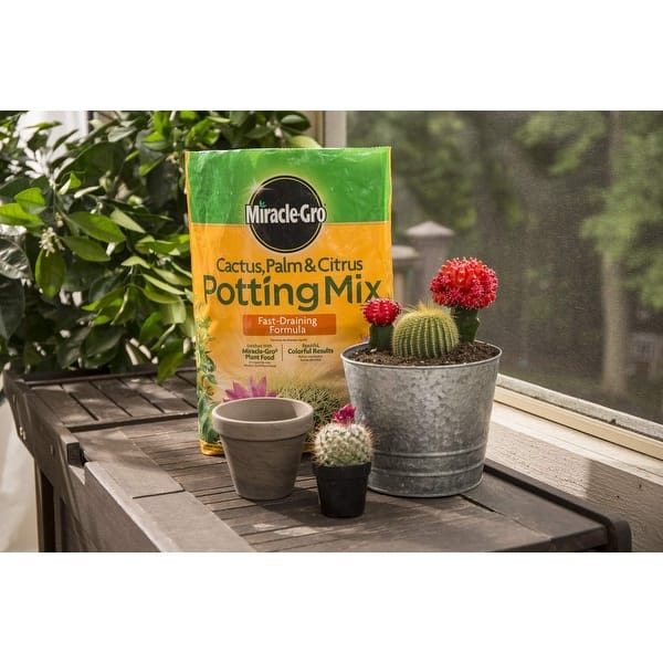Cactus, Palm & Citrus Potting Mix (3-Pack) - Bed Bath & Beyond - 39835998