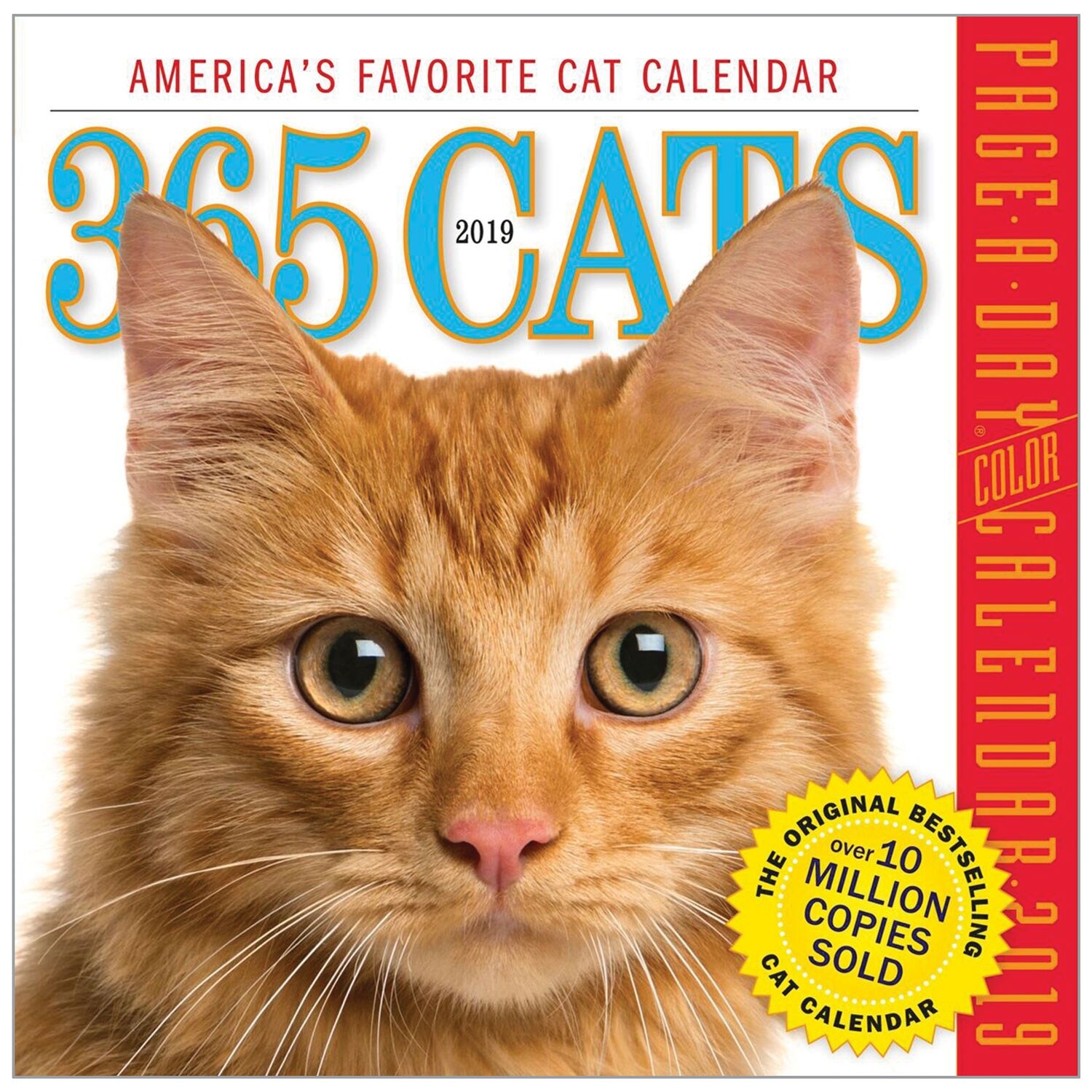 Shop Workman Publishing 365 Cats Page A Day Calendar 2019 Daily