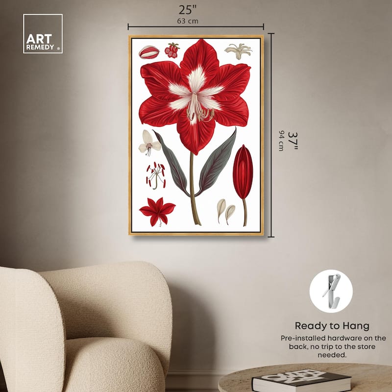 Amaryllis Anatomy Canvas by Art Remedy