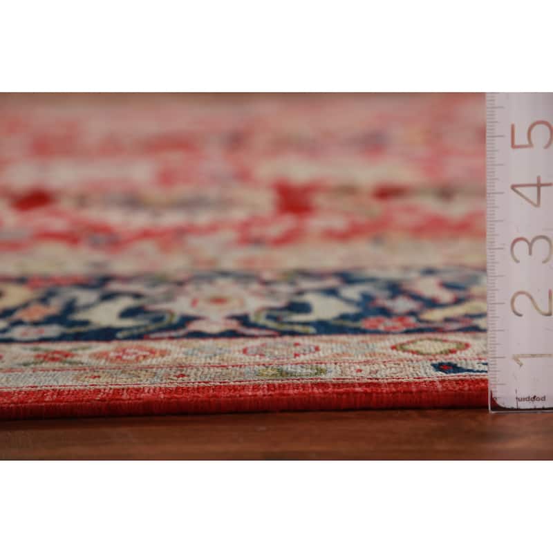 Vegetable Dye Floral Ziegler Oriental Area Rug Handmade Wool Carpet - 9'3"x 11'11"