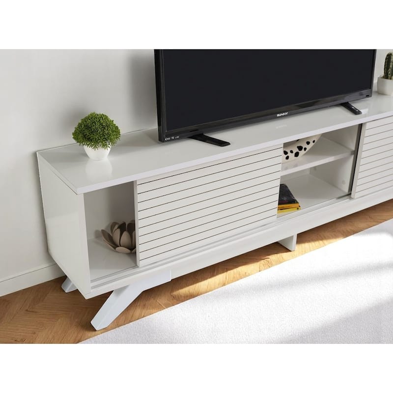 Lucina Modern TV Stand with 2 Sliding Door Cabinet 2 Shelves, Living Room Entertainment Center