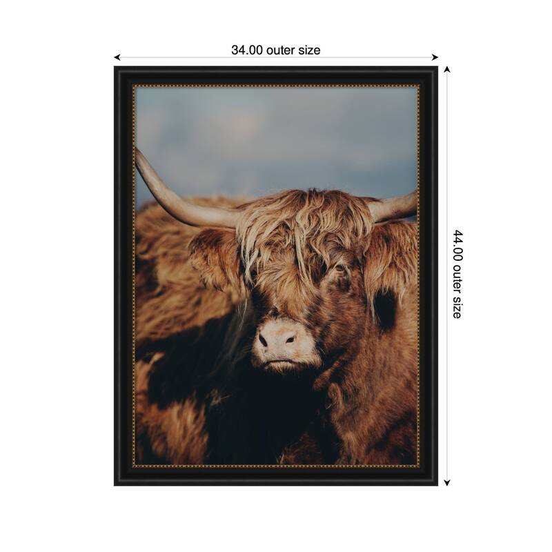 Kate and Laurel Highland Cow No. 5 by Laura Evans Framed Wall Art Print