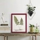 preview thumbnail 133 of 138, Nature Printed Ferns IX -Framed Print w/glass-Cherry Red