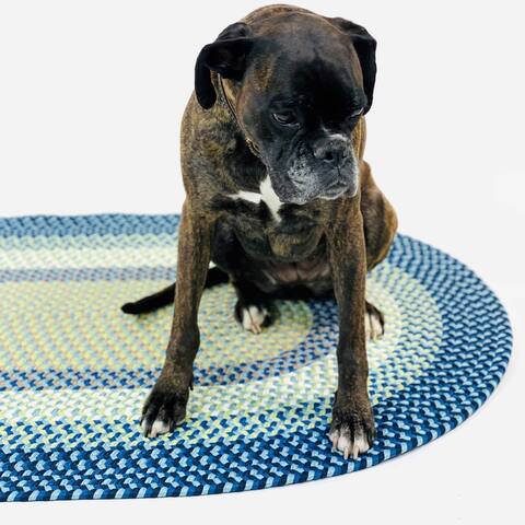Kingston Braided Reversible Indoor/Outdoor Rug in (7) Awesome Colorways