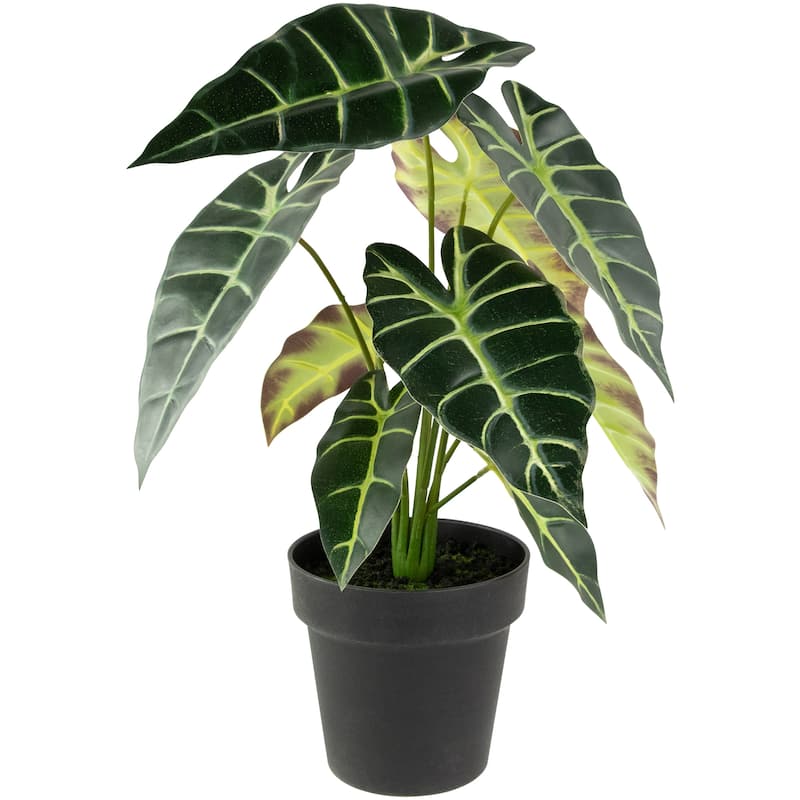 real touch™ artificial taro plant in black pot 18"