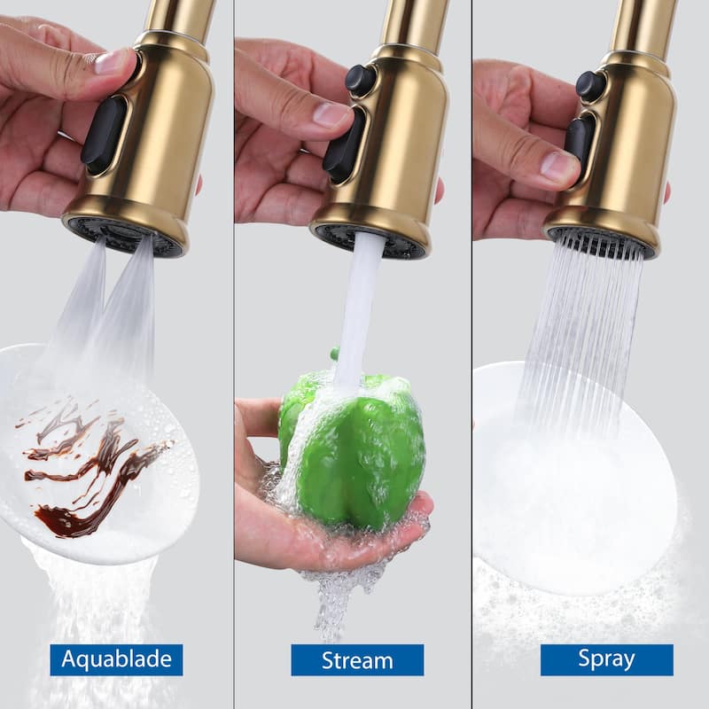 Pull Down Kitchen Faucet Head Replacement with 9 Adapter Kit
