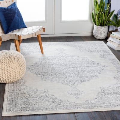 Slater Persian Medallion Area Rug