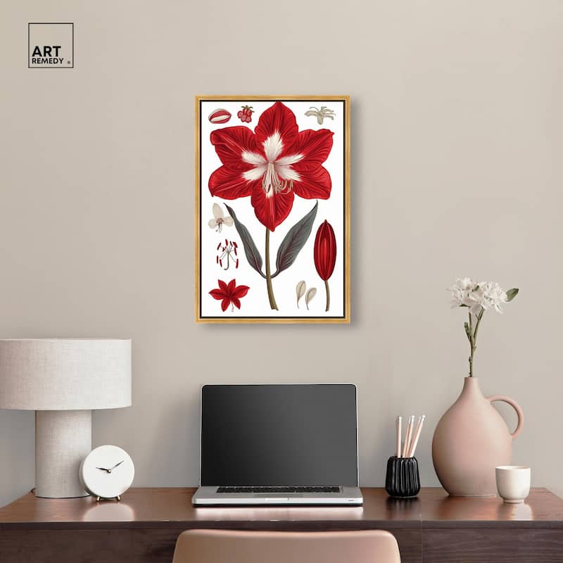 Amaryllis Anatomy Canvas by Art Remedy