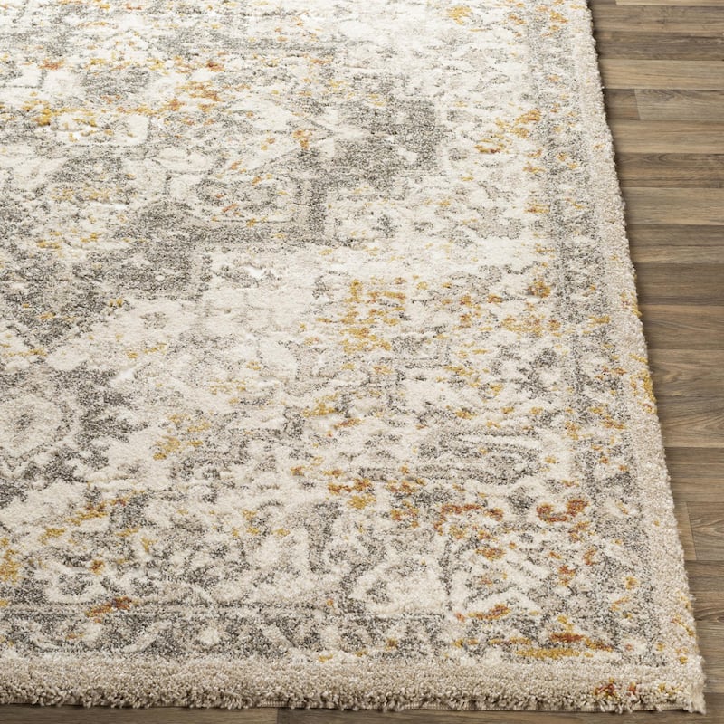 Pienza Updated Traditional Medallion Area Rug