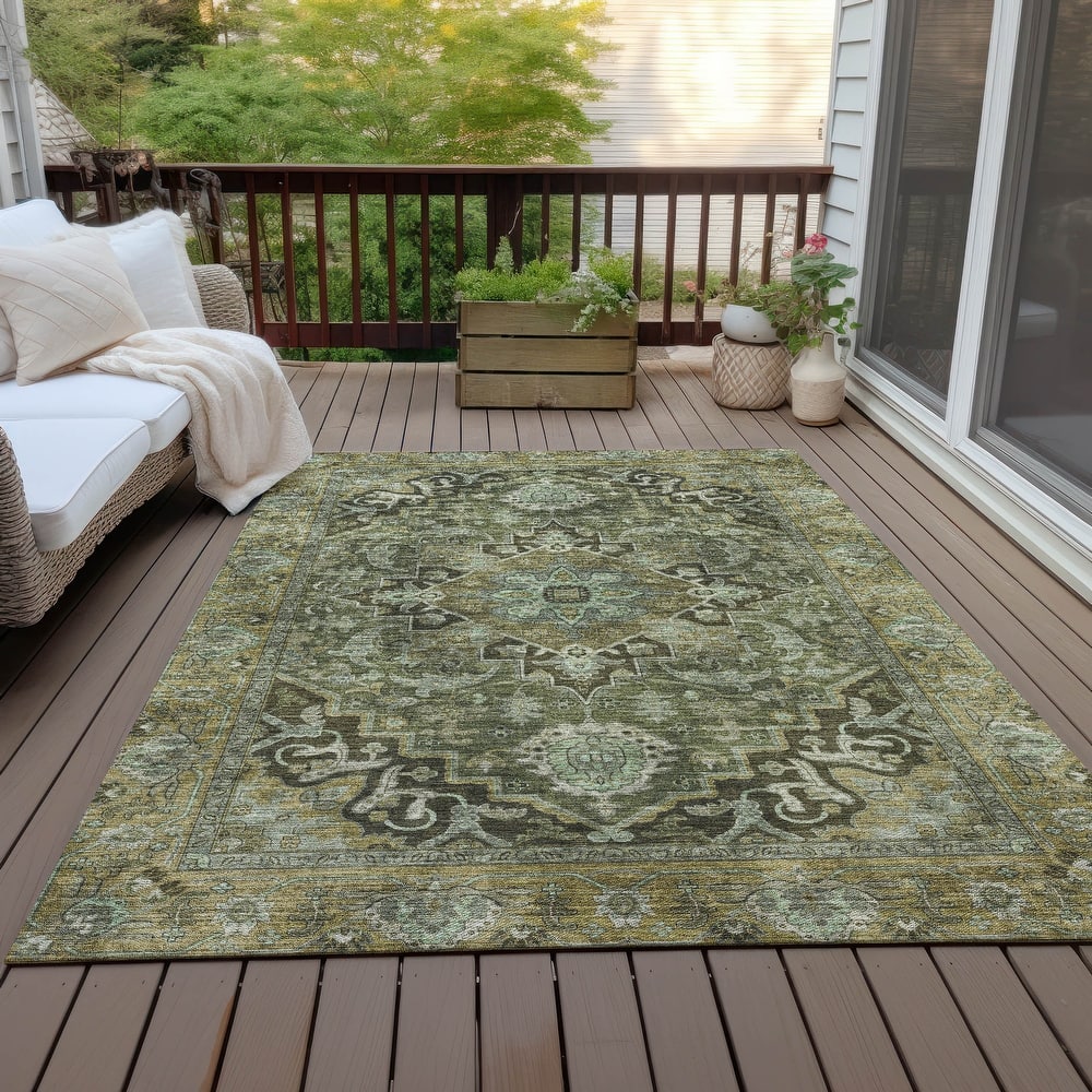 Machine Washable Indoor/Outdoor Traditional Medallion Chantille Rug