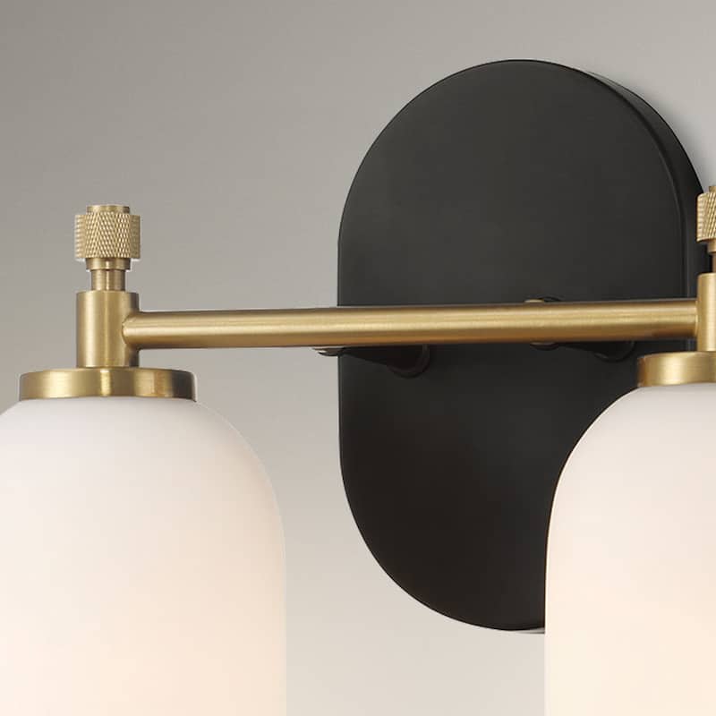 Asok Frosted Glass Dual Vanity Wall Sconce