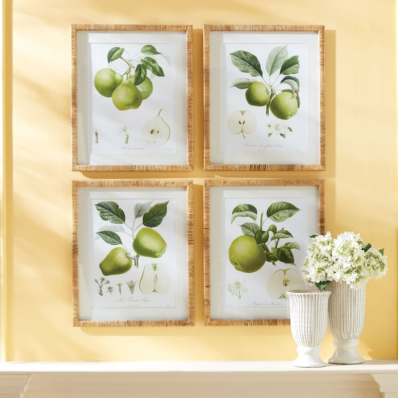 Fruit Study, Set Of 4