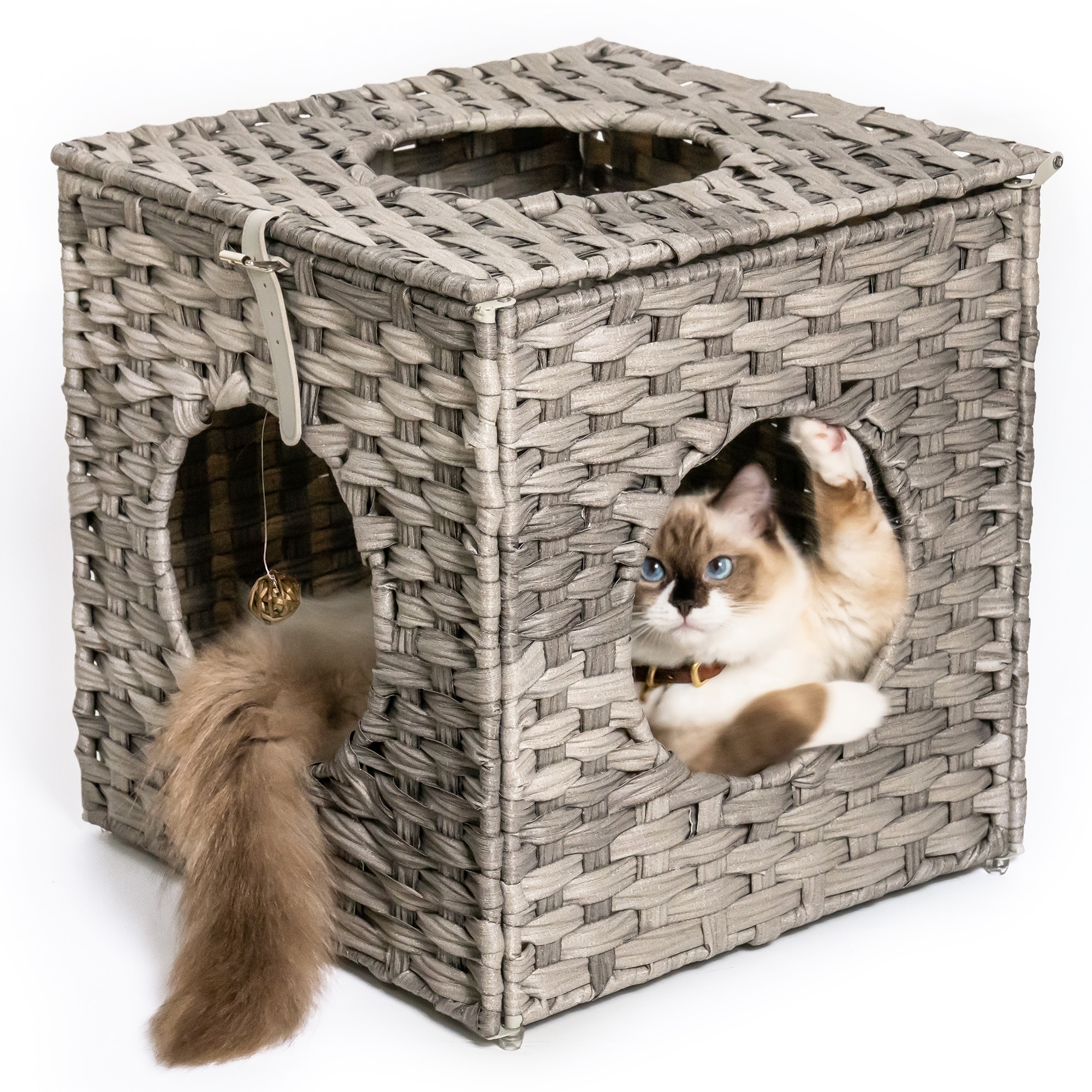 Rattan Cat Litter Cat Bed with Rattan Ball and Cushion Bed Bath Beyond 37933653