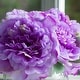preview thumbnail 7 of 14, Enova Home Artificial Silk Peony Fake Flowers Arrangement in Round Glass Vase with Faux Water - 10"H x 10"W
