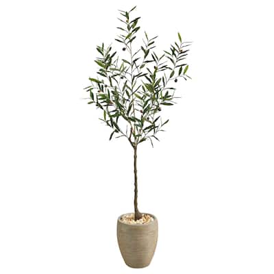 5.5' Olive Artificial Tree in Sand Colored Planter - 12.5"