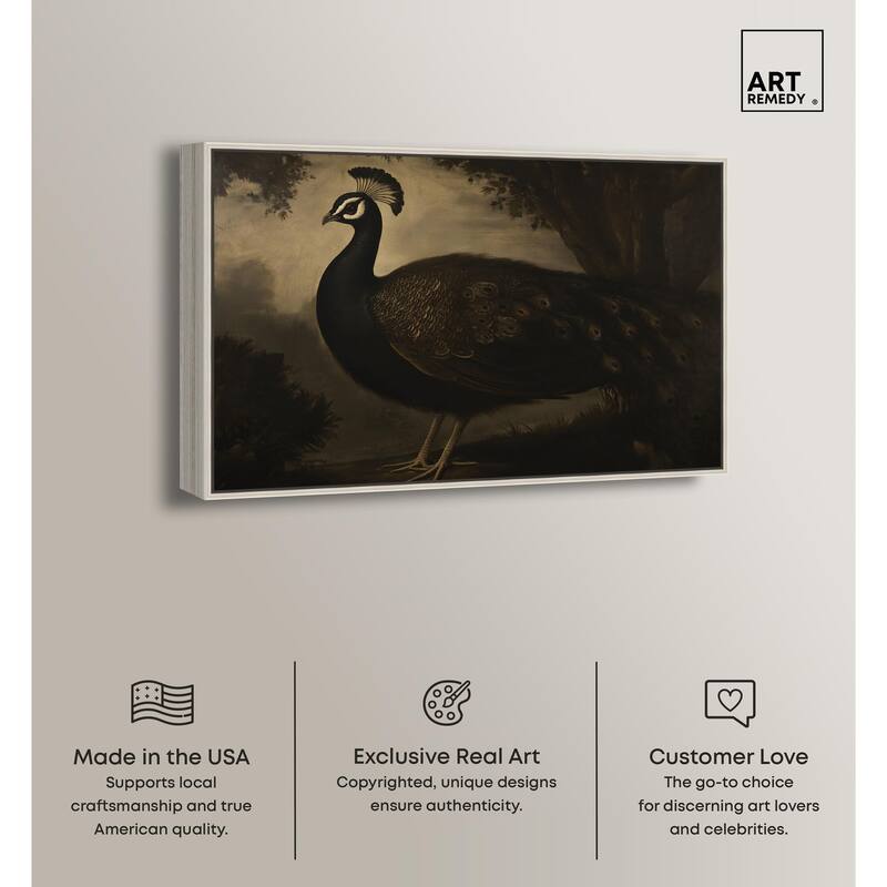 Peacock in Monotone Canvas by Art Remedy