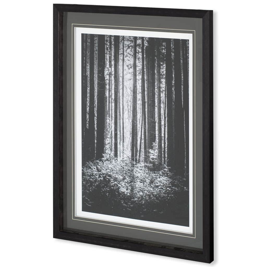 Lowland Winter Forest No 13, Tiger Mountain Framed Art Print
