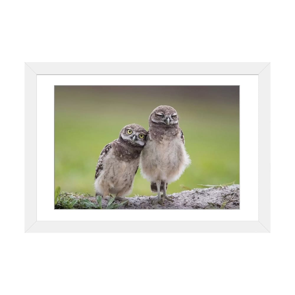 iCanvas "Friends" by Greg Barsh