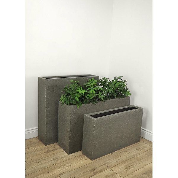 hanging ivy planter Glacier Ivy Plant  Hedera Helix Glacier Ivy 8" Pot / White / Without Pot
