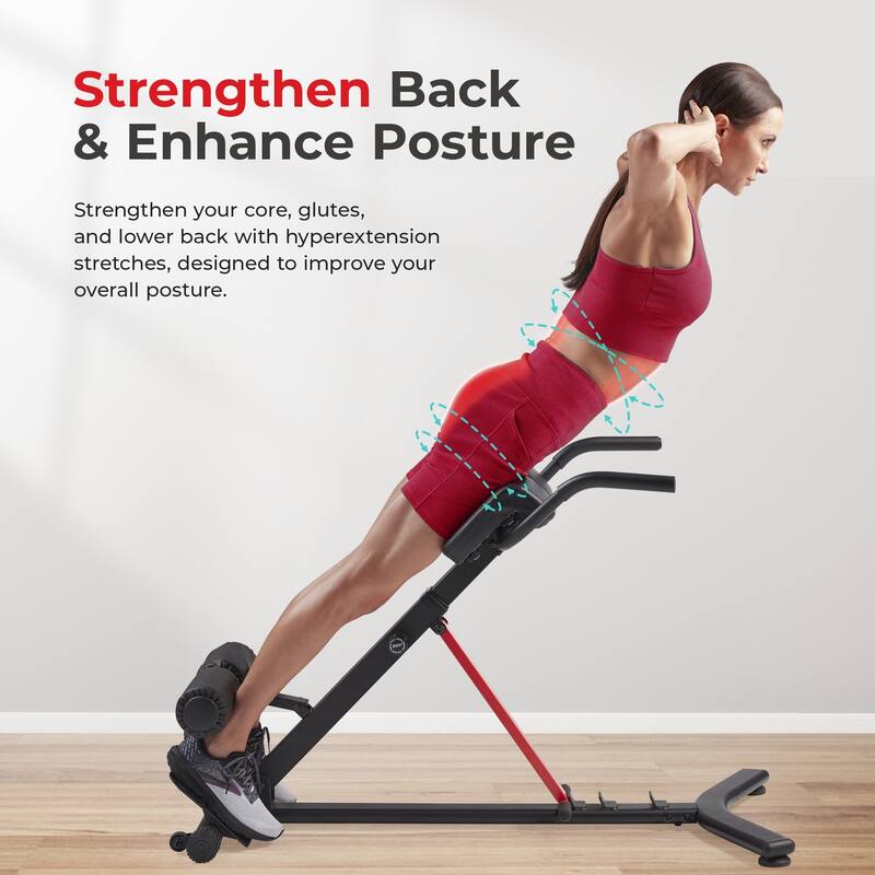 Sunny Health Fitness Roman Chair with Dip Station