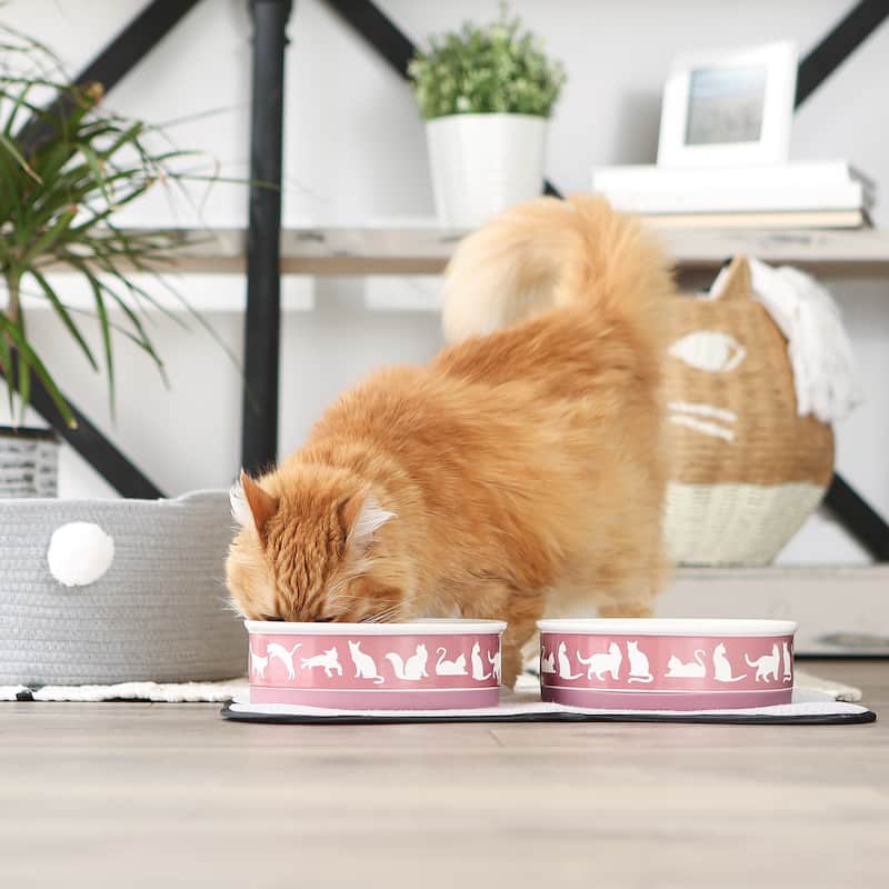 Bone Dry Pet Bowl Cats Meow (Set of 2)