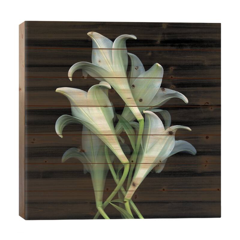 We Rise Again Print On Wood by Magda Indigo - Multi-Color - 26x26x1.5