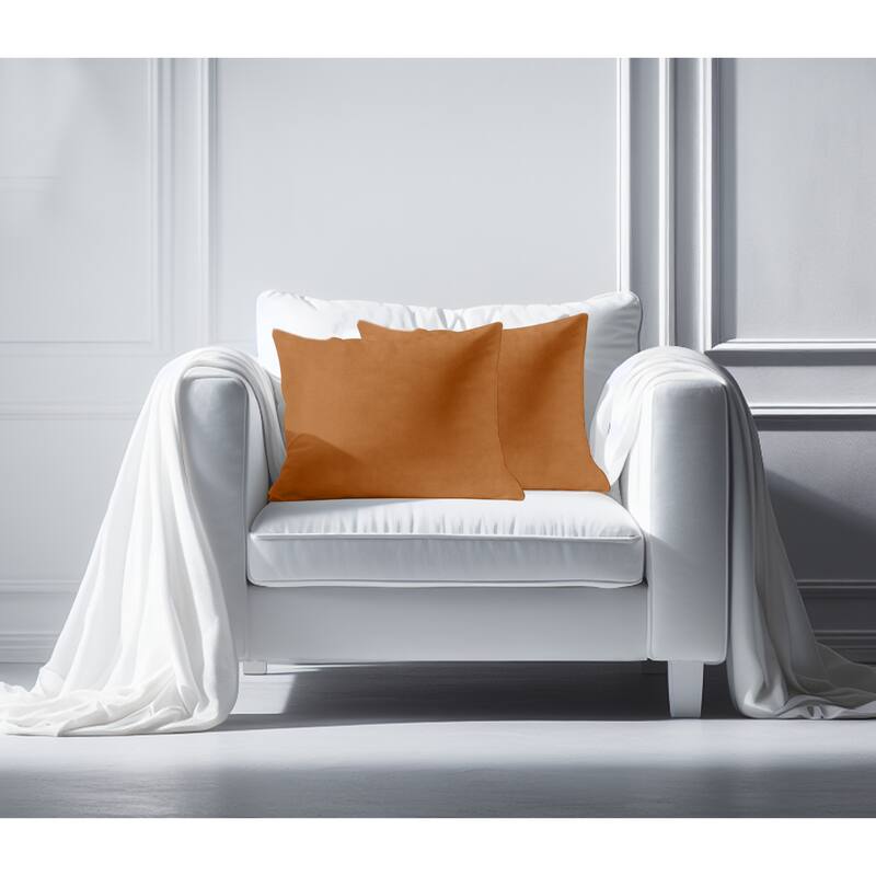 A1HC Pack of 2 Velvet Throw Pillow Covers, Hidden Zipper Closure
