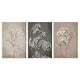 preview thumbnail 8 of 8, Stupell Botanical Baby's Breath Herbs 3 Piece Wall Plaque Art Set Design by Ros Ruseva 13 x 19