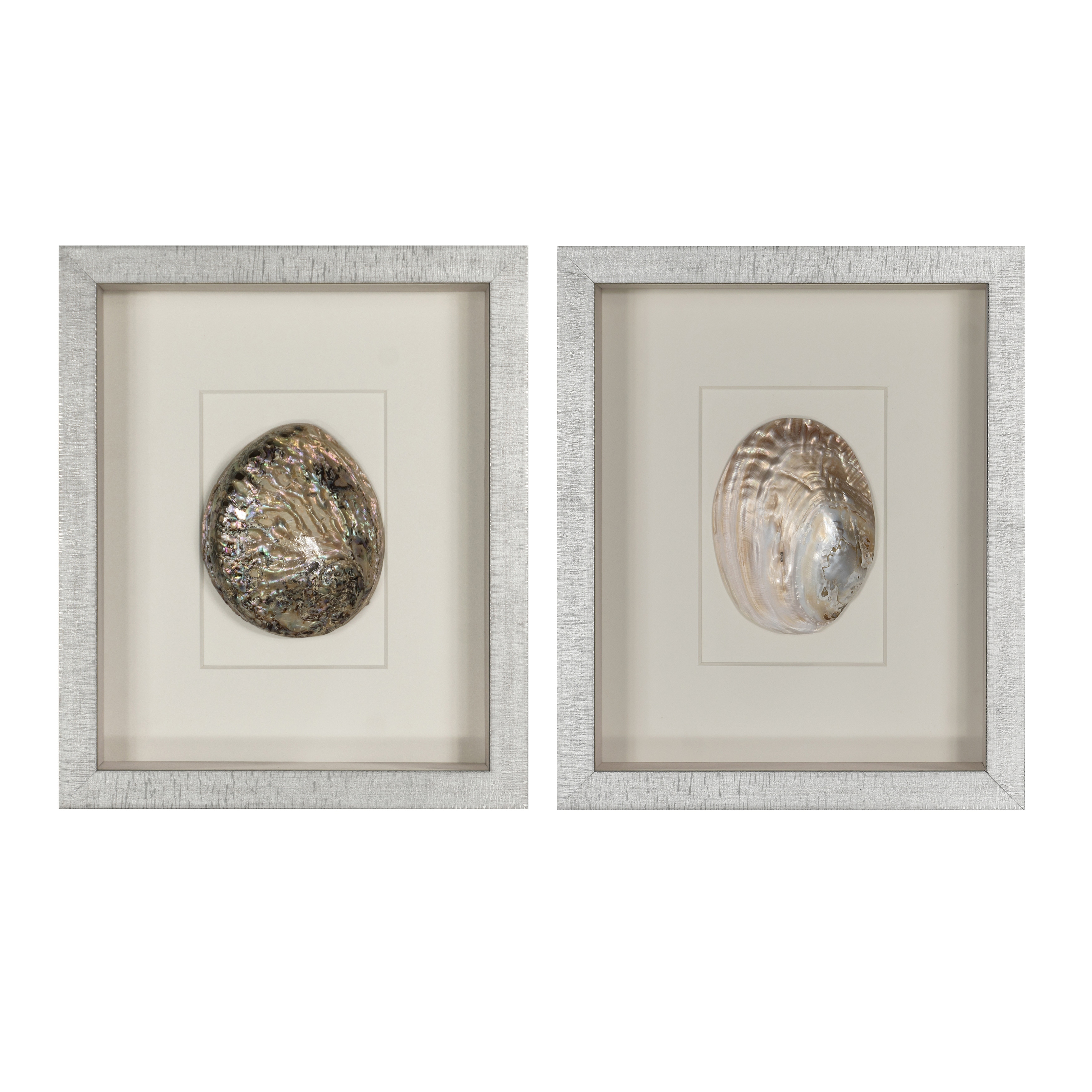 Abalone & Pearl Shell Shadow Box Wall Decor Set