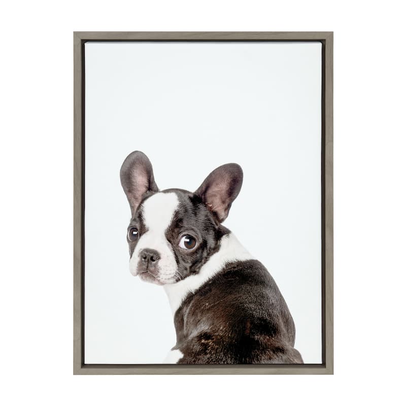 Kate and Laurel Sylvie Animal Studio French Bulldog Framed Canvas by Amy Peterson Art Studio