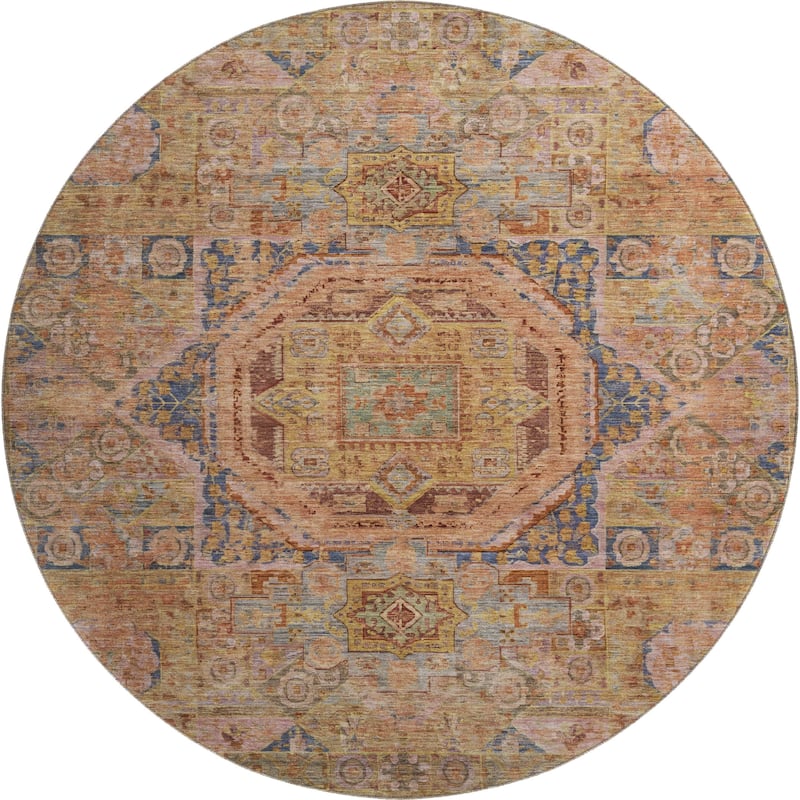 Premium Washable Super Soft Vintage Traditional Mayfield Rug