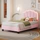 Option Pink