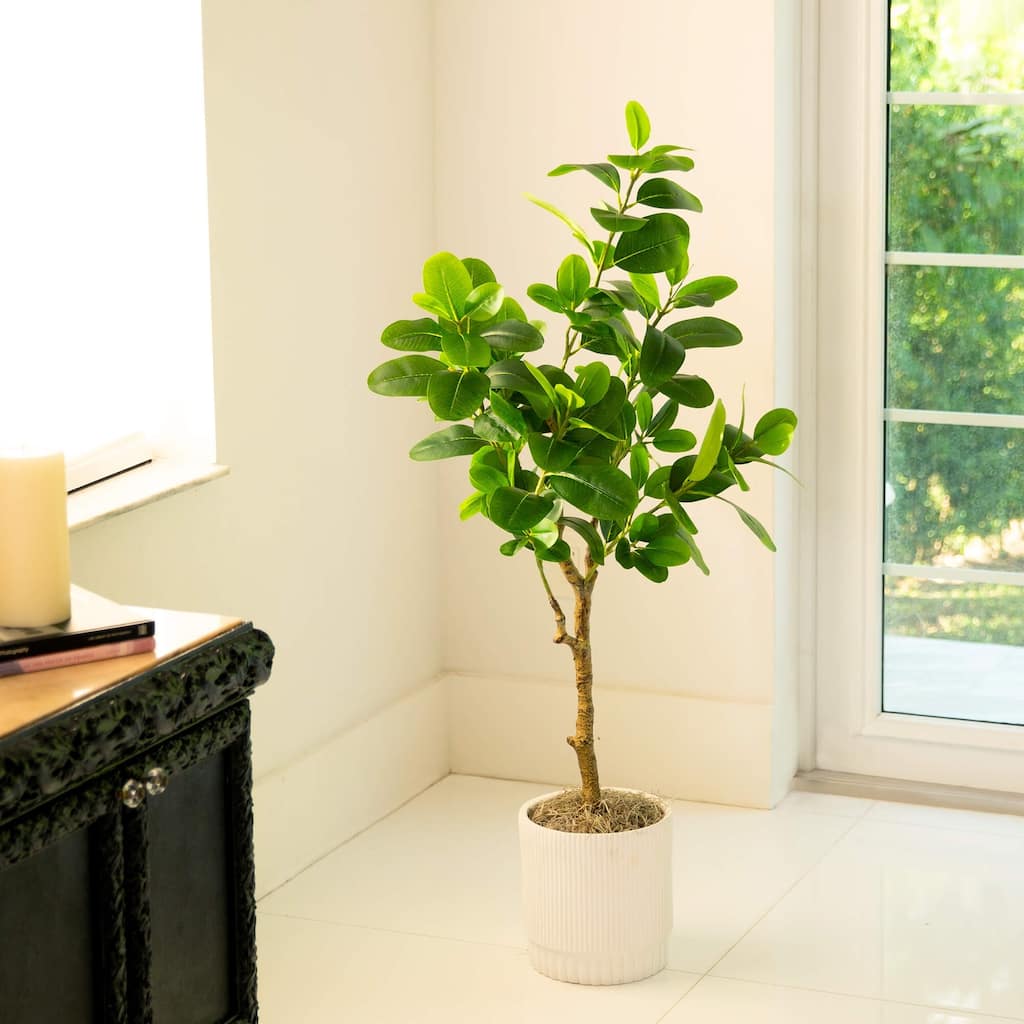 Potted Audrey Ficus Artificial Tree - 4' - Unlit
