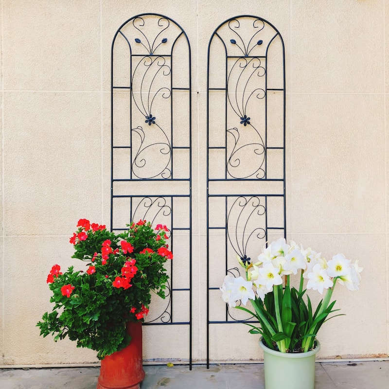 4 Pack Metal Garden Trellis 86.7in x 19.7in Rustproof Trellis - Black