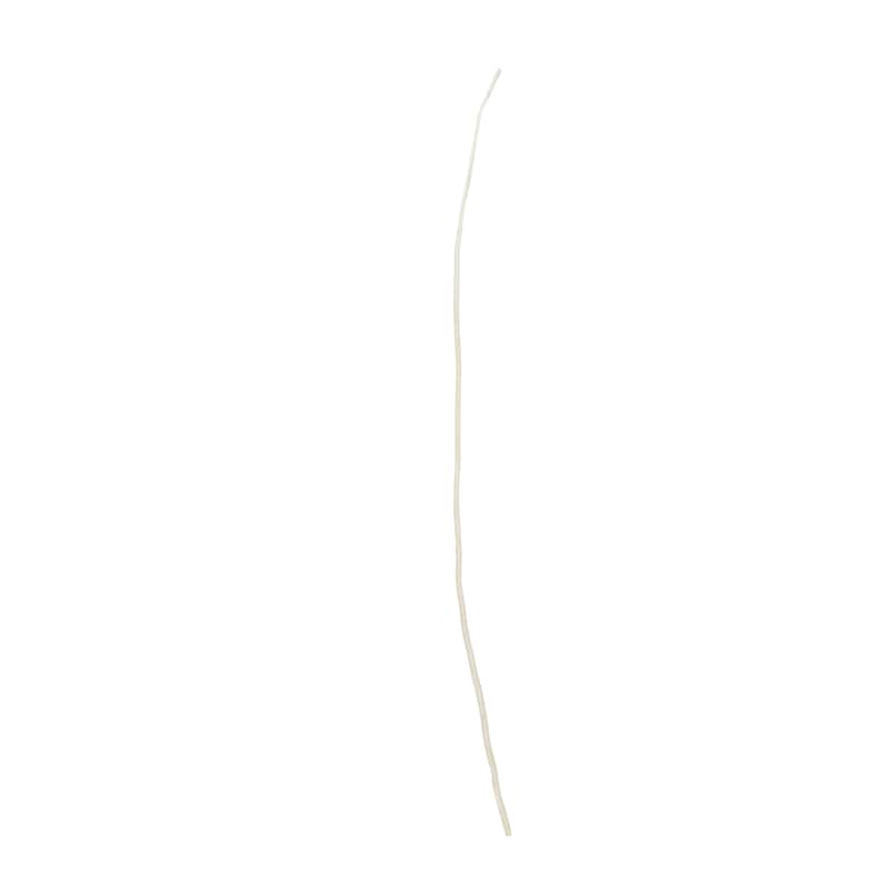 Dried Plant Tall Wavy Stick Home Decor Natural Foliage - Beige - Roche River Decor