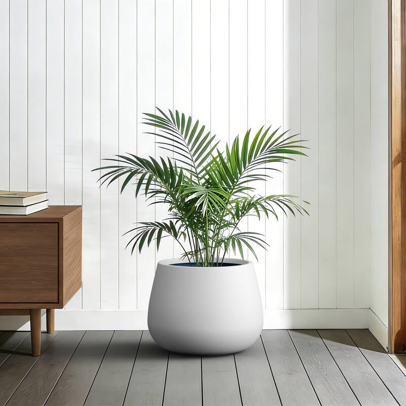 Concrete Round Planter with Drainage Holes for Indoor & Outdoor